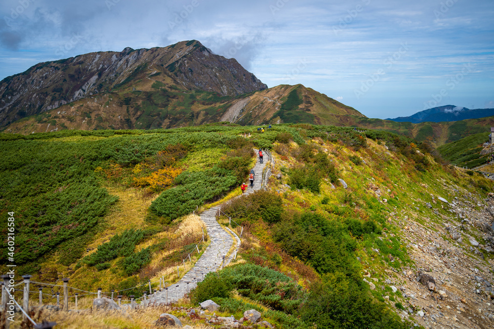 Fototapeta premium 富山県立山町の立山の秋の紅葉の季節に登山している風景 Scenery of climbing Tateyama Mountain in Tateyama Town, Toyama Prefecture, Japan during the season of autumn leaves. 