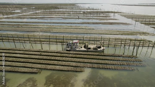 Large oyster farm in Canon France near Cap Ferret at Arcachon Bay with schooner boat, Aerial orbit around shot photo