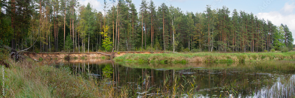 a small river with steep sandy banks flows in the forest against the background of an autumn forest a small river with steep sandy banks flows in the forest against the background of an autumn forest