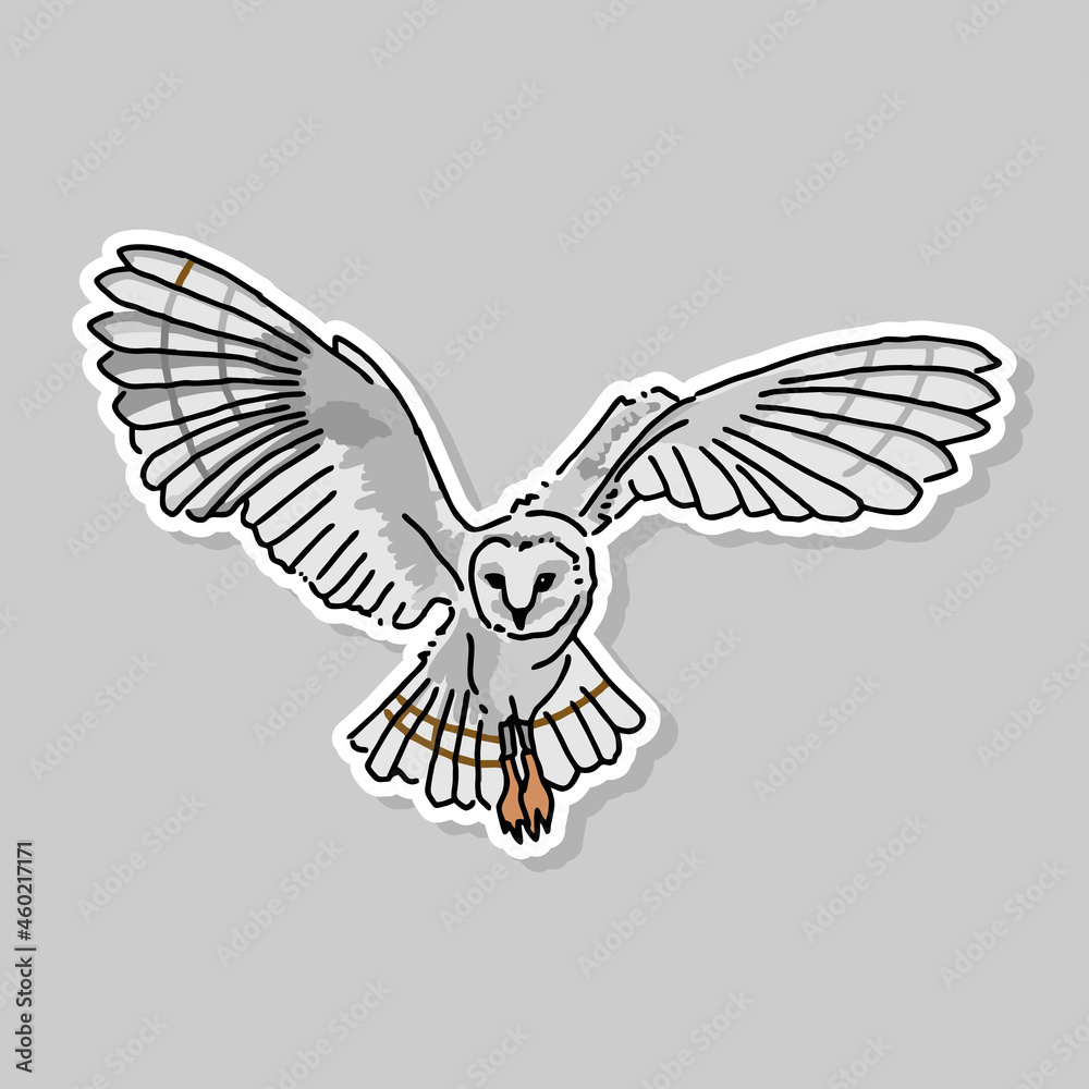 Fototapeta premium owl cartoon design