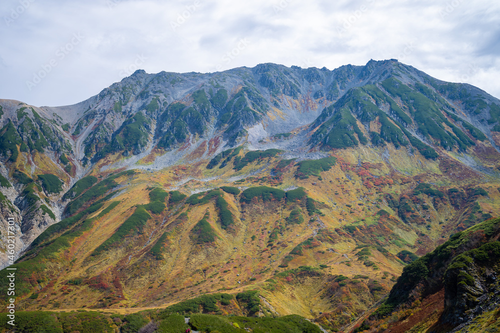 富山県立山町の立山の秋の紅葉の季節に登山している風景 Scenery of climbing Tateyama Mountain in Tateyama Town, Toyama Prefecture, Japan during the season of autumn leaves. 