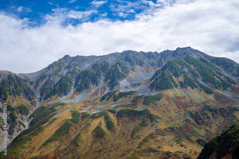 Fototapeta premium 富山県立山町の立山の秋の紅葉の季節に登山している風景 Scenery of climbing Tateyama Mountain in Tateyama Town, Toyama Prefecture, Japan during the season of autumn leaves. 