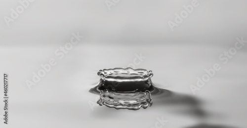 Water drop splashes on the water surface and creates a crown of droplets on grey background. 