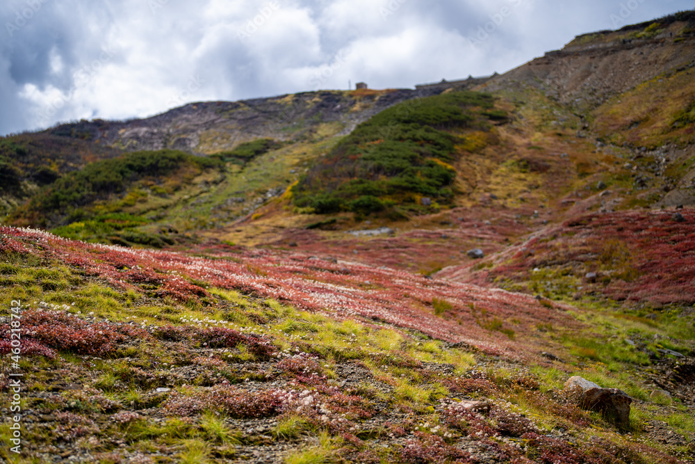 富山県立山町の立山の秋の紅葉の季節に登山している風景 Scenery of climbing Tateyama Mountain in Tateyama Town, Toyama Prefecture, Japan during the season of autumn leaves. 