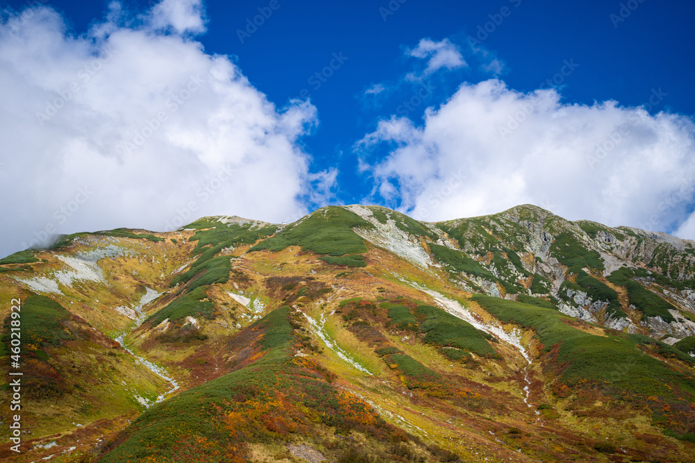 Fototapeta premium 富山県立山町の立山の秋の紅葉の季節に登山している風景 Scenery of climbing Tateyama Mountain in Tateyama Town, Toyama Prefecture, Japan during the season of autumn leaves. 
