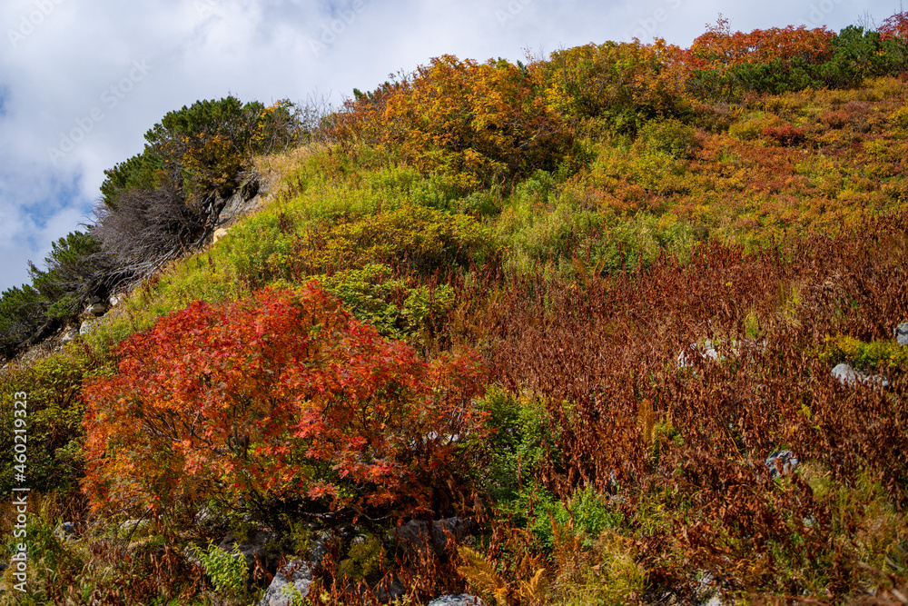 富山県立山町の立山の秋の紅葉の季節に登山している風景 Scenery of climbing Tateyama Mountain in Tateyama Town, Toyama Prefecture, Japan during the season of autumn leaves. 