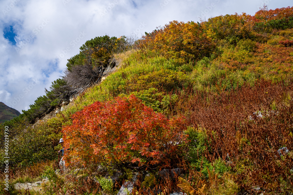 富山県立山町の立山の秋の紅葉の季節に登山している風景 Scenery of climbing Tateyama Mountain in Tateyama Town, Toyama Prefecture, Japan during the season of autumn leaves. 富山県立山町の立山の秋の紅葉の季節に登山している風景 Scenery of climbing Tateyama Mountain in Tateyama Town, Toyama Prefecture, Japan during the season of autumn leaves.
