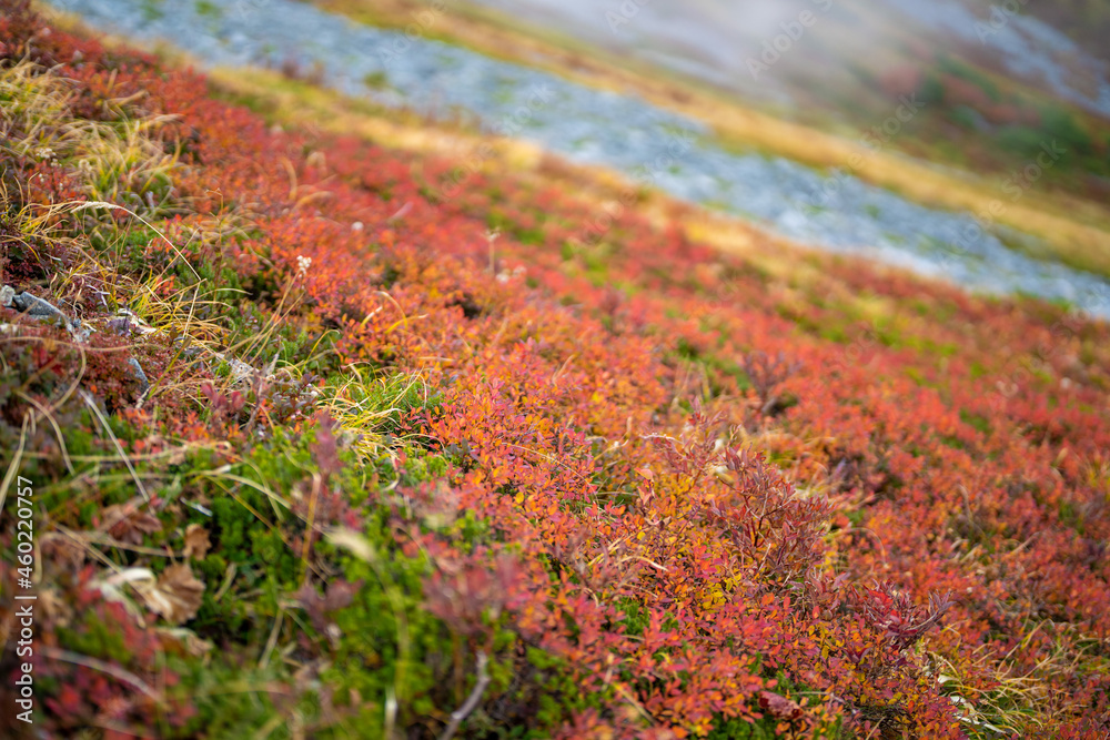 富山県立山町の立山の秋の紅葉の季節に登山している風景 Scenery of climbing Tateyama Mountain in Tateyama Town, Toyama Prefecture, Japan during the season of autumn leaves. 