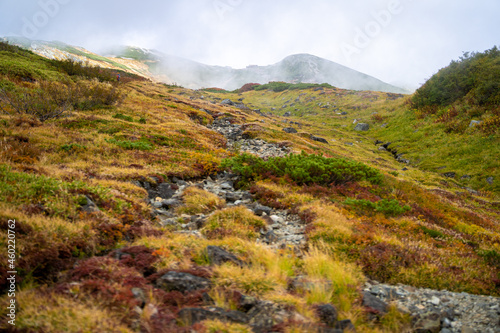                                                                                Scenery of climbing Tateyama Mountain in Tateyama Town  Toyama Prefecture  Japan during the season of autumn leaves. 