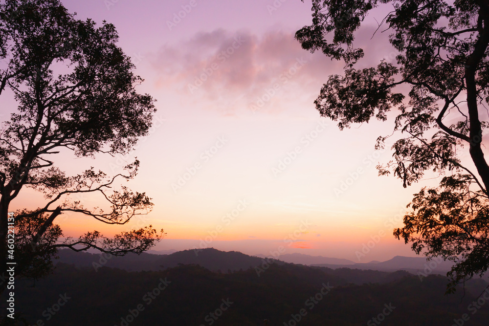 Purple or red or orange sky of sunrise or sunset with tree on mountain Purple or red or orange sky of sunrise or sunset with tree on mountain