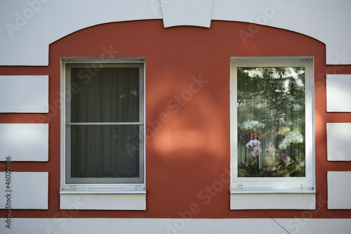 Street facade of a residential building. Two windows with flowers in pots behind glass on a red and white painted wall.