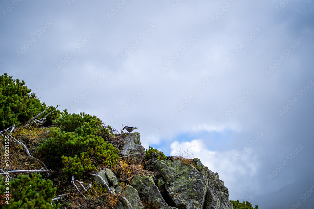 富山県立山町の立山の秋の紅葉の季節に登山している風景 Scenery of climbing Tateyama Mountain in Tateyama Town, Toyama Prefecture, Japan during the season of autumn leaves. 