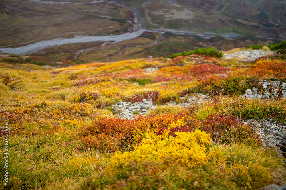 富山県立山町の立山の秋の紅葉の季節に登山している風景 Scenery of climbing Tateyama Mountain in Tateyama Town, Toyama Prefecture, Japan during the season of autumn leaves. 富山県立山町の立山の秋の紅葉の季節に登山している風景 Scenery of climbing Tateyama Mountain in Tateyama Town, Toyama Prefecture, Japan during the season of autumn leaves.