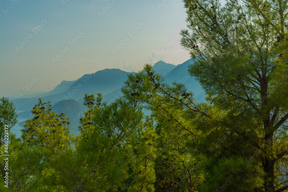 ANTALYA, TURKEY: Landscape with trees and mountain views near the Mediterranean Sea. ANTALYA, TURKEY: Landscape with trees and mountain views near the Mediterranean Sea.