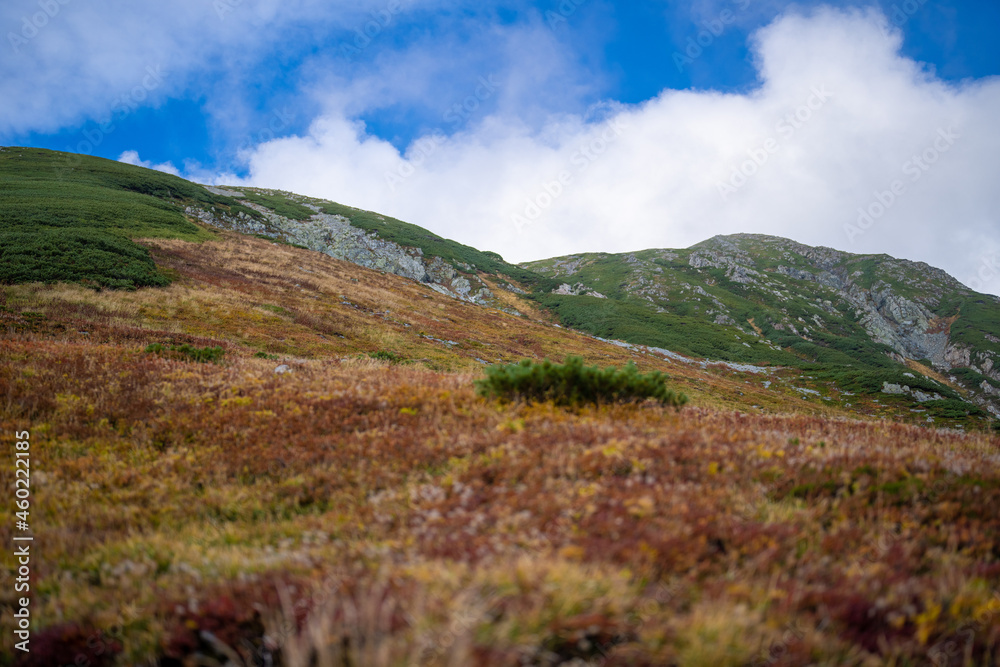 富山県立山町の立山の秋の紅葉の季節に登山している風景 Scenery of climbing Tateyama Mountain in Tateyama Town, Toyama Prefecture, Japan during the season of autumn leaves. 