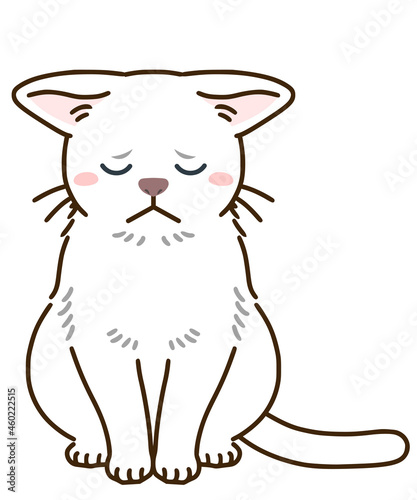 落ち込む猫（白）