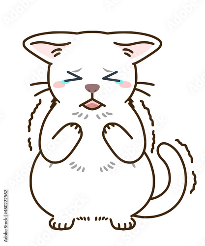 怯える猫（白）