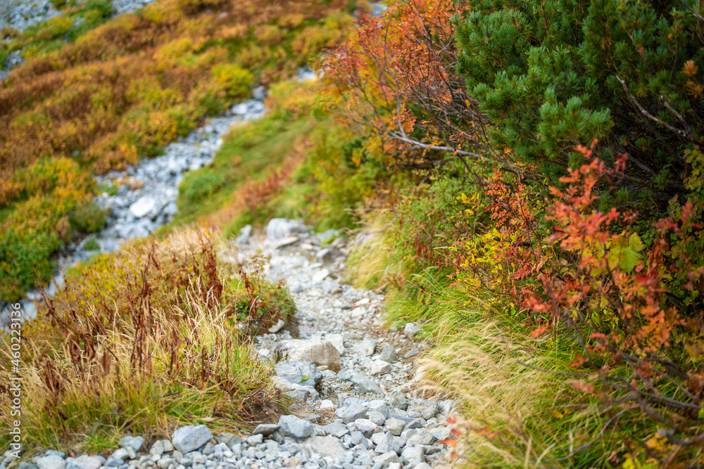 富山県立山町の立山の秋の紅葉の季節に登山している風景 Scenery of climbing Tateyama Mountain in Tateyama Town, Toyama Prefecture, Japan during the season of autumn leaves. 