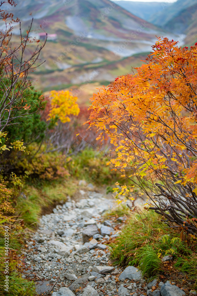 富山県立山町の立山の秋の紅葉の季節に登山している風景 Scenery of climbing Tateyama Mountain in Tateyama Town, Toyama Prefecture, Japan during the season of autumn leaves. 富山県立山町の立山の秋の紅葉の季節に登山している風景 Scenery of climbing Tateyama Mountain in Tateyama Town, Toyama Prefecture, Japan during the season of autumn leaves.