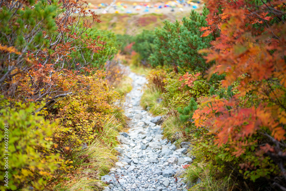 富山県立山町の立山の秋の紅葉の季節に登山している風景 Scenery of climbing Tateyama Mountain in Tateyama Town, Toyama Prefecture, Japan during the season of autumn leaves. 