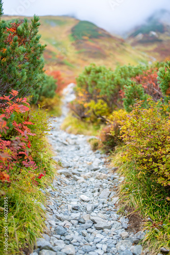 富山県立山町の立山の秋の紅葉の季節に登山している風景 Scenery of climbing Tateyama Mountain in Tateyama Town, Toyama Prefecture, Japan during the season of autumn leaves.  © Hello UG