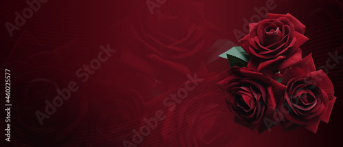 beautiful three red rose flowers bouquet on blur red roses flower and red background  nature  love  valentine  buddha  banner  template  copy space