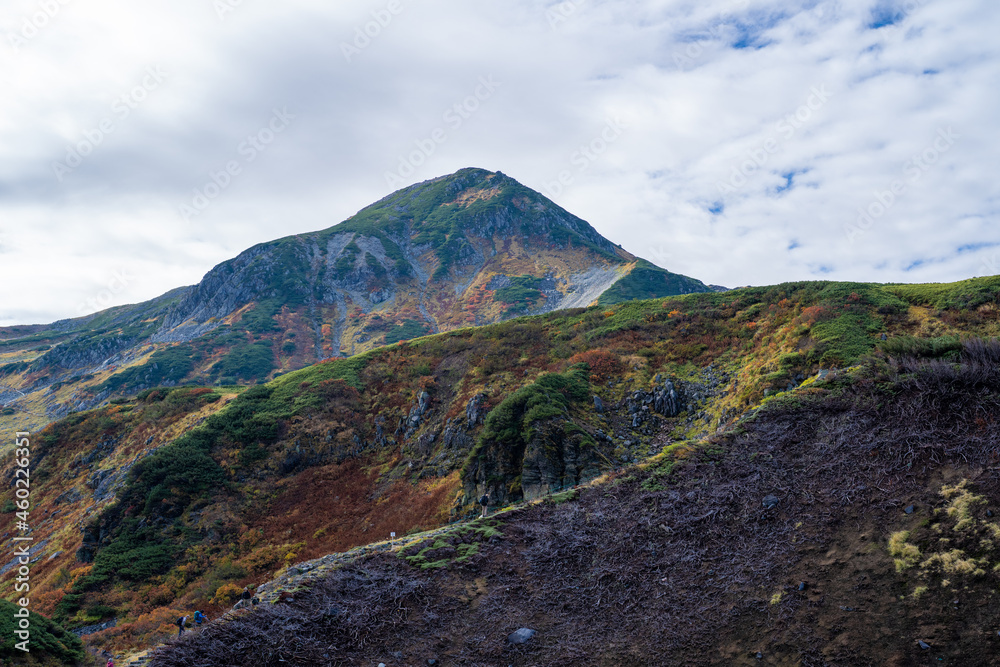 Fototapeta premium 富山県立山町の立山の秋の紅葉の季節に登山している風景 Scenery of climbing Tateyama Mountain in Tateyama Town, Toyama Prefecture, Japan during the season of autumn leaves.