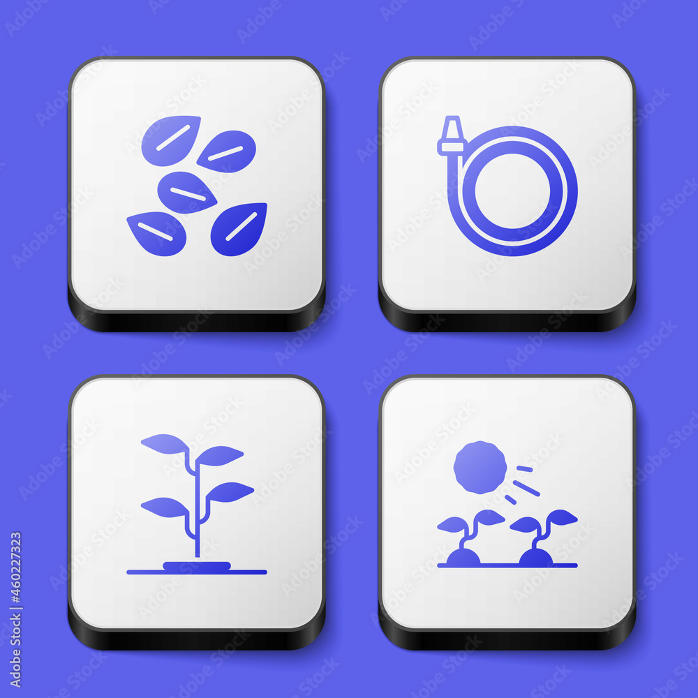 Set Seeds of specific plant, Garden hose, Sprout and Plant sprouts grow in the sun icon. White square button. Vector Set Seeds of specific plant, Garden hose, Sprout and Plant sprouts grow in the sun icon. White square button. Vector