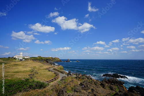 a wonderful landscape with a seaside walkway