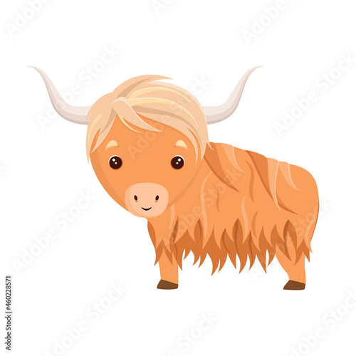 Cute yak in cartoon style on a white background.
