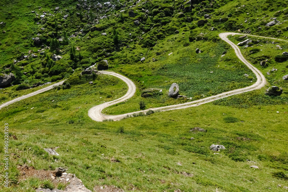 curvy dirt road for hiking in a green landscape of austria