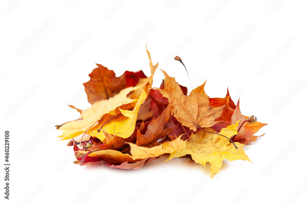 Heap of leaves isolated on white background. Heap of leaves isolated on white background.