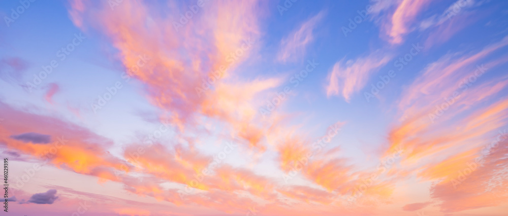 Stunning romantic and relaxing sunrise with some pink illuminated clouds moving across a blue sky. Long exposure, natural background. - obrazy, fototapety, plakaty 