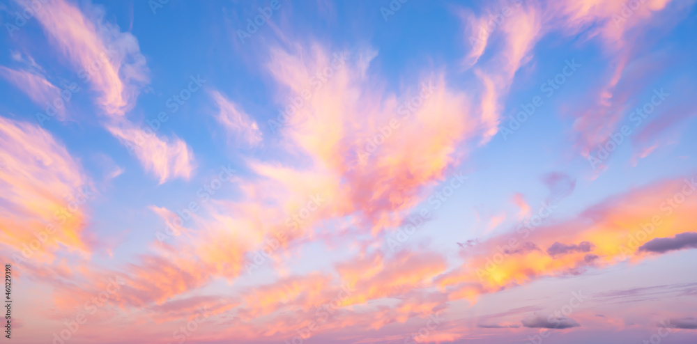 Stunning romantic and relaxing sunrise with some pink illuminated clouds moving across a blue sky. Long exposure, natural background.