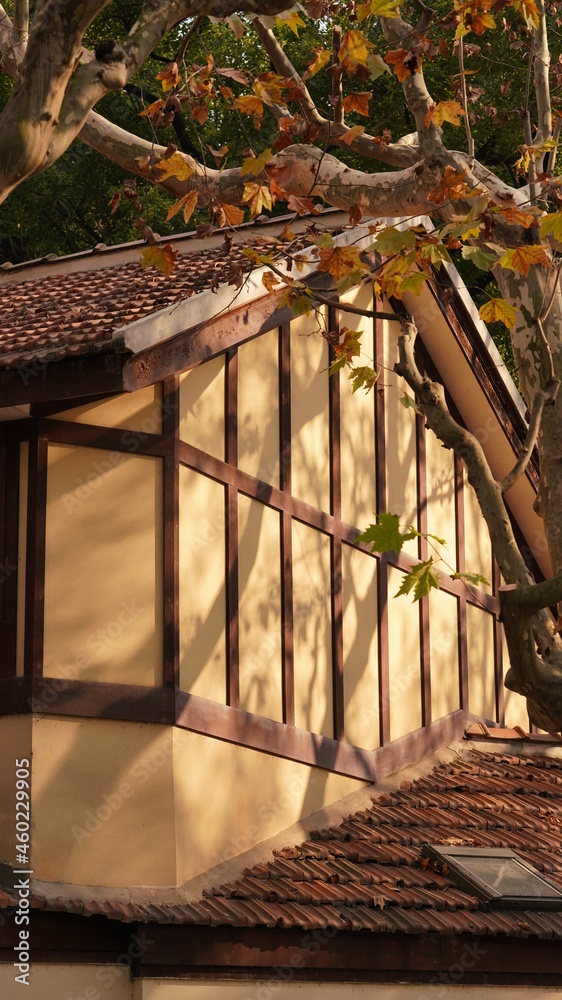 The old and beautiful buildings view with the warm sunlight and shadow on them in Shanghai of the China in autumn The old and beautiful buildings view with the warm sunlight and shadow on them in Shanghai of the China in autumn