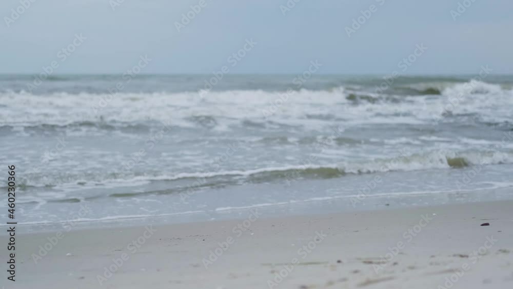 Seagull taking off from sandy shore of stormy sea with foaming waves Seagull taking off from sandy shore of stormy sea with foaming waves