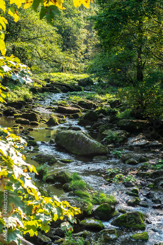 River Selbitz in Höllental Upper Franconia with large mossy stones and trees