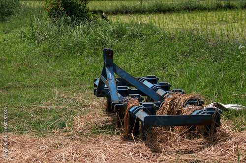 Plow covered in hay next to rice fields