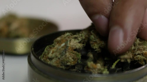 rellenando moledor - rellenando moledor con mota - rellenando mota - marihuana - weed - dope