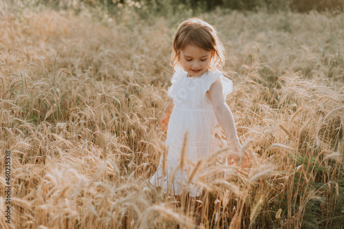 Adorable little blonde girl in a hat and a white linen dress, standing on a wheat field and touching the ears of wheat with her hands. Baby outdoor enjoying nature wheat field. High quality photo