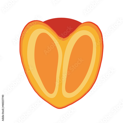 The icon is half a persimmon. A delicious and healthy berry growing in a subtropical climate. Vector illustration isolated for design and web.