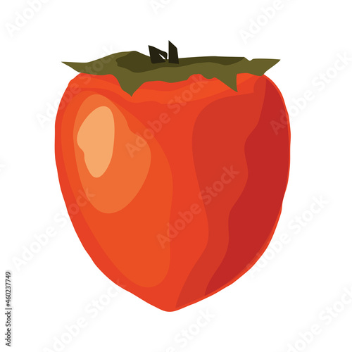 The persimmon icon. A delicious and healthy berry growing in a subtropical climate. Vector illustration isolated for design and web.