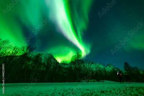 wundervolle Nordlichter in Troms in den Lyngenalps. begeisterndes Lichtspiel am n  chtlichen Himmel    ber einer beleuchteten Farm in Lakselvdal. Aurora Borealis bei Troms    Norwegen