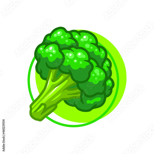 Broccoli vegetables drawing illustration design