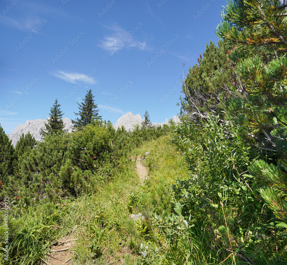 Wanderung zum Kleinen Törl im Wilden Kaiser Wanderung zum Kleinen Törl im Wilden Kaiser