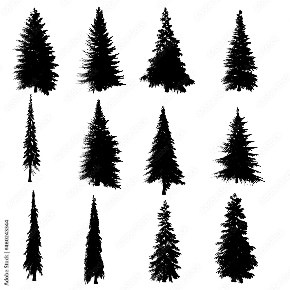 Set with silhouettes of trees isolated on white background. A set of Christmas trees of different shapes. Vector illustration