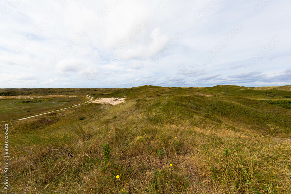 Panoramic view of summer landscape with slopes and small hilly on the dunes of Texel salt marsh area National Park, Dutch North sea coastline, De Koog, Texel Island, Noord Holland, Netherlands.