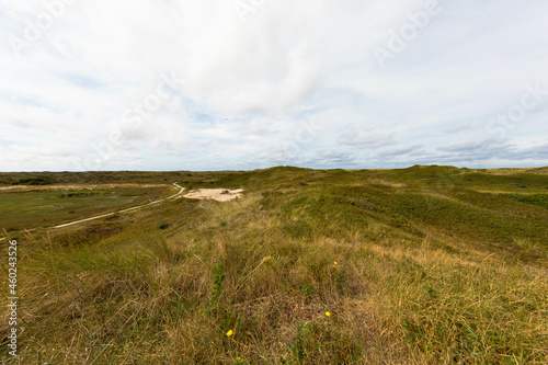 Panoramic view of summer landscape with slopes and small hilly on the dunes of Texel salt marsh area National Park  Dutch North sea coastline  De Koog  Texel Island  Noord Holland  Netherlands.