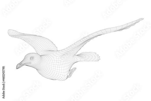 Flying bird wireframe isolated on white background. Side view. 3D. Vector illustration