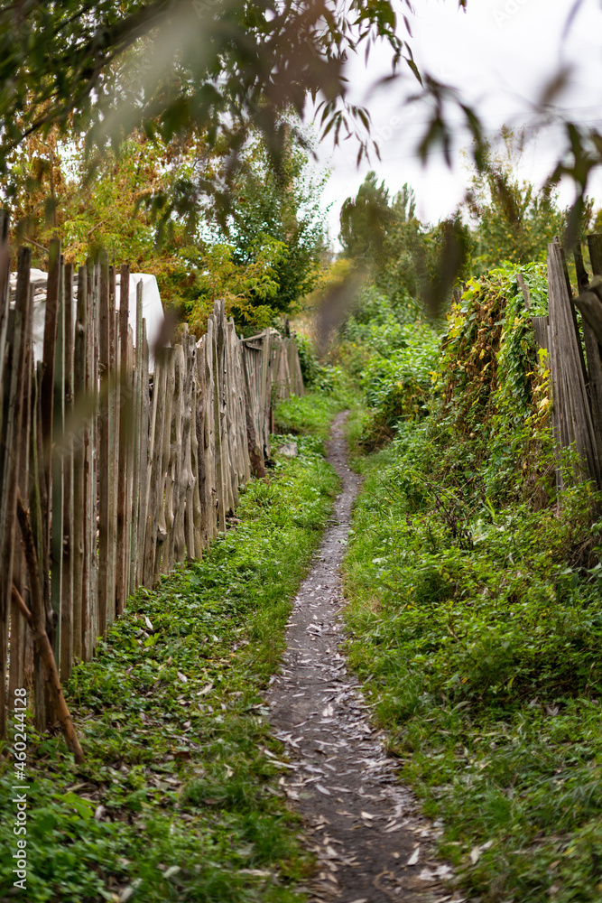 Path near the fence in the countryside in the autumn. Rural landscape